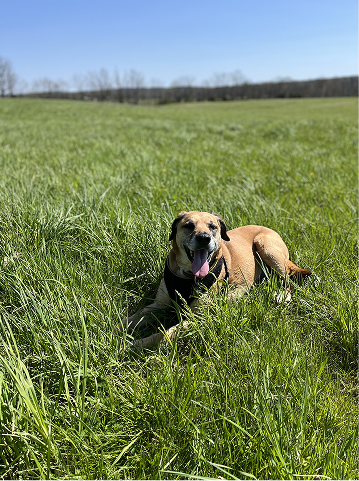 Landowners with land